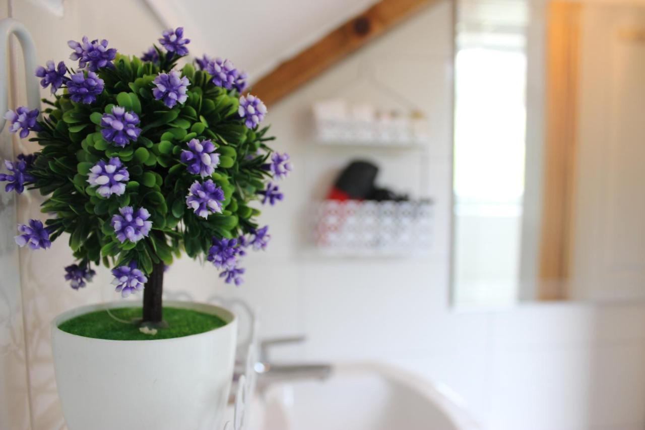 Apartment Ajda Udbina エクステリア 写真
