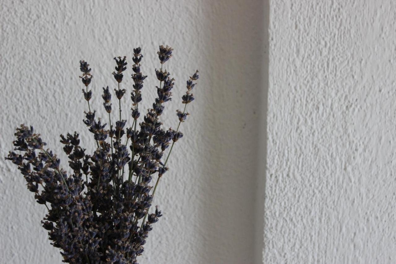 Apartment Ajda Udbina エクステリア 写真